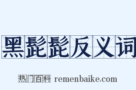 黑髭髭反义词是什么意思的图片